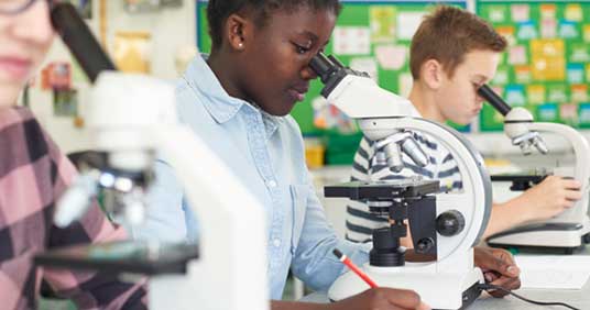Exploring the next Generation Science Standards for Middle School